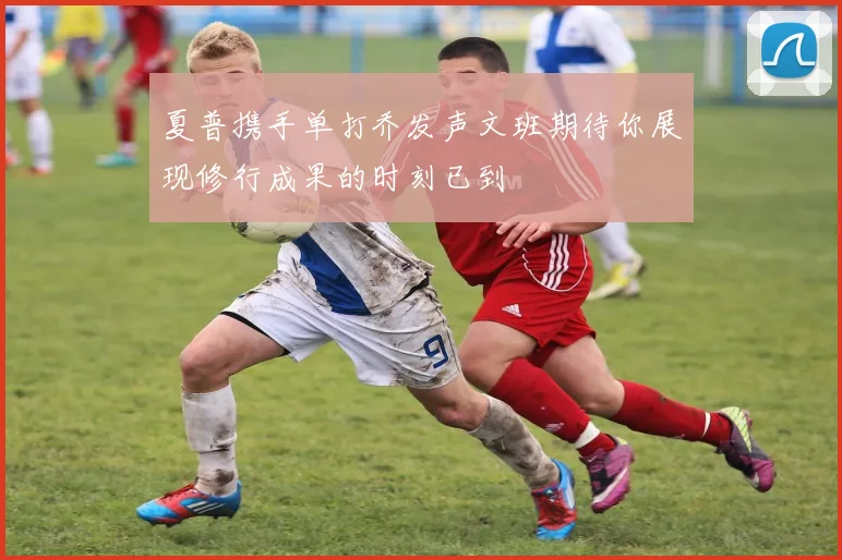 夏普携手单打乔发声文班期待你展现修行成果的时刻已到