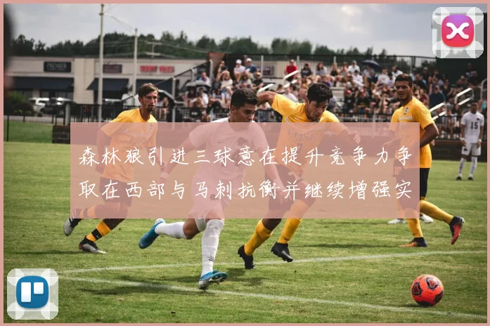 森林狼引进三球意在提升竞争力争取在西部与马刺抗衡并继续增强实力