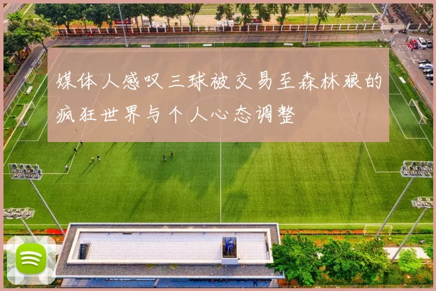 媒体人感叹三球被交易至森林狼的疯狂世界与个人心态调整