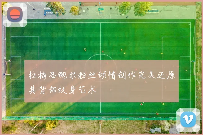 拉梅洛鲍尔粉丝倾情创作完美还原其背部纹身艺术