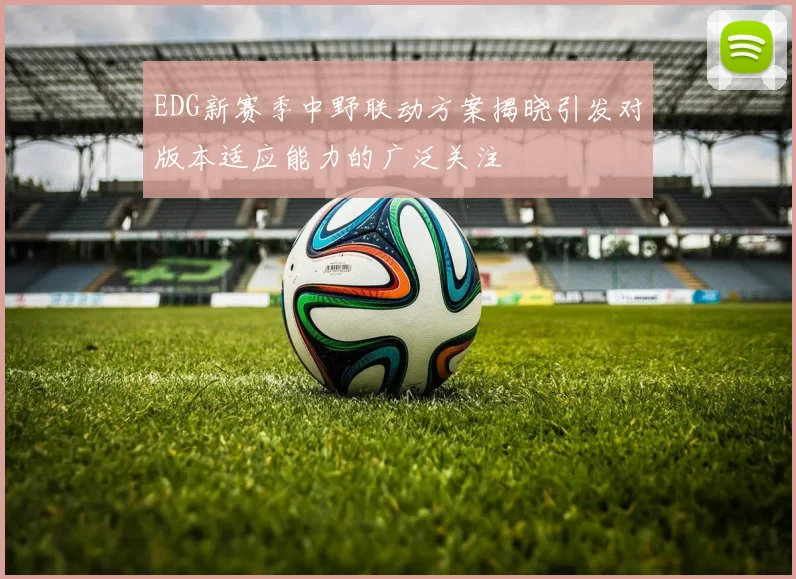 EDG新赛季中野联动方案揭晓引发对版本适应能力的广泛关注